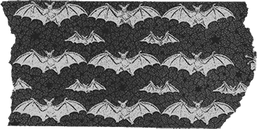 bats